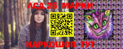молекула духа Кингисепп