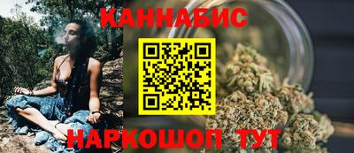 молекула духа Кингисепп