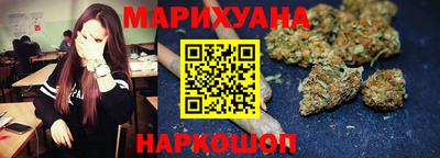 молекула духа Кингисепп