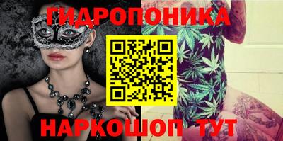 молекула духа Кингисепп