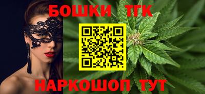 молекула духа Кингисепп