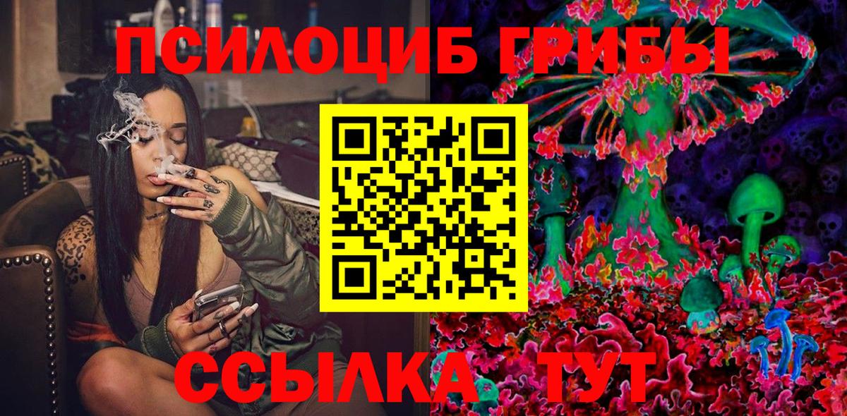 наркота  Вход с VPN  Кузнецк  Галлюциногенные грибы GOLDEN TEACHER 